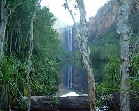 カカドゥ国立公園